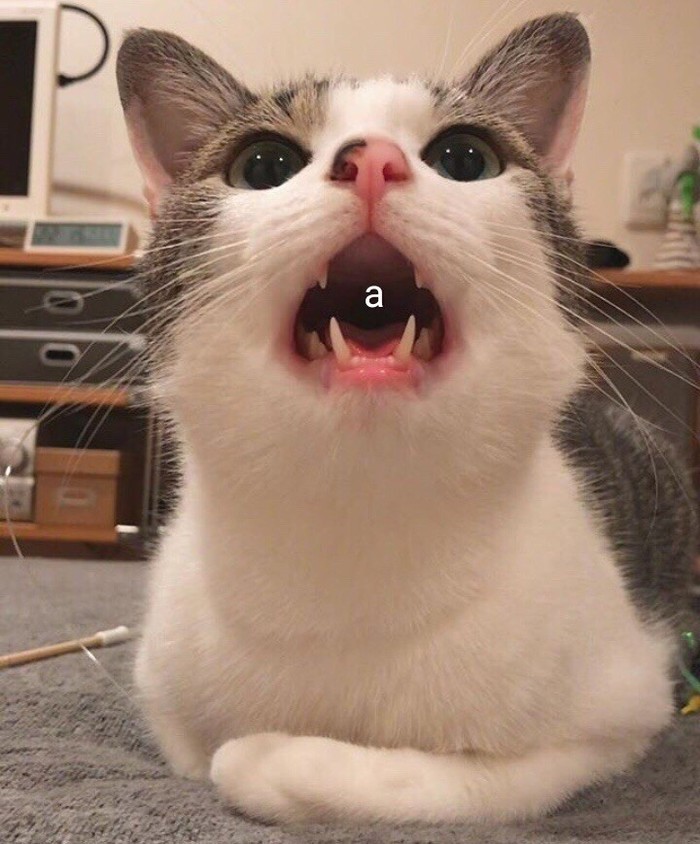 �������� �������, ������� �� ������ ���� ��������