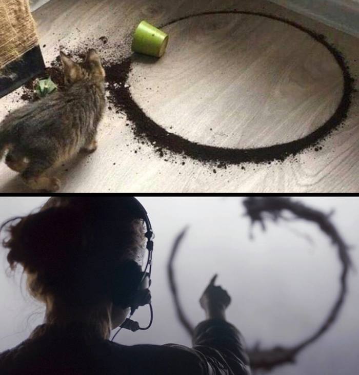    , ,  ()