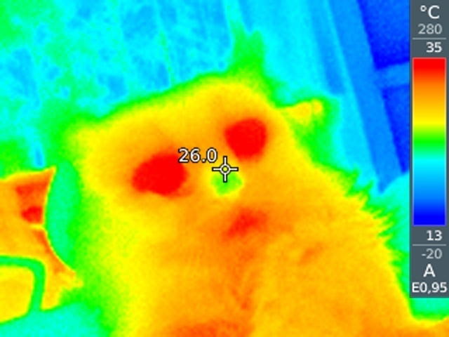 We're glad not... - My, Thermal imager, The Call of the Soul, Technologies, Video