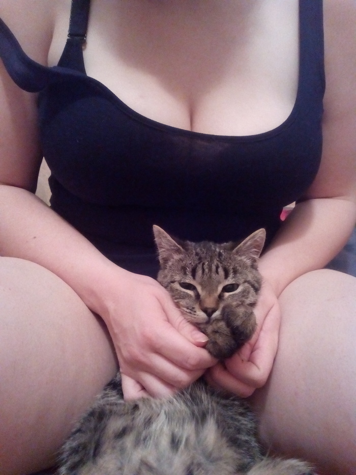 Boobs and cats rule - cat, My, NSFW, Girls, Boobs