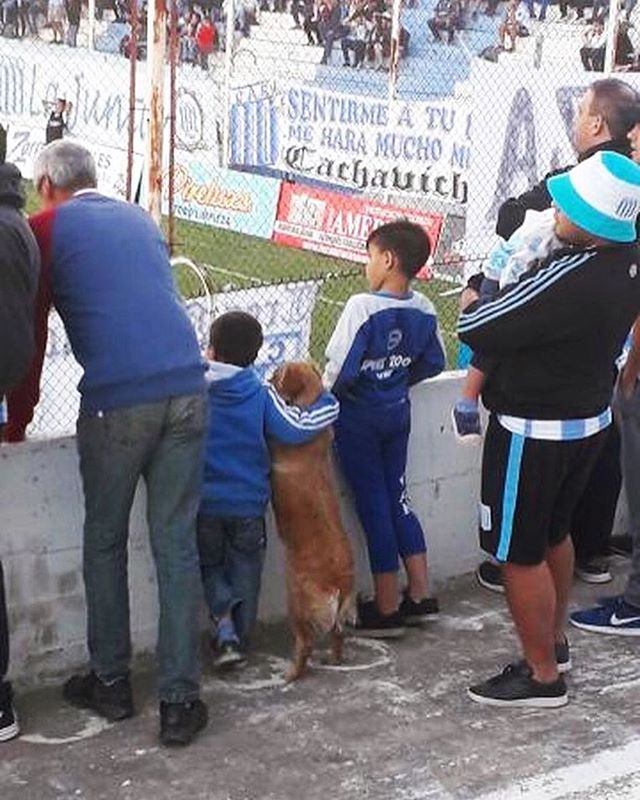 Football with best friend - Sport, Football, Болельщики, Children, Animals, Dog, Good boy, Milota