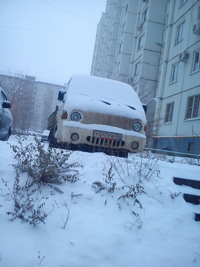 Little Porter rejoices in the snow - My, Hyundai Porter, Snow, Joy, Car plate numbers, Car, Hooray, The photo