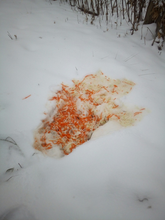 pickled angel - My, Winter, Sauerkraut, Humor, The photo, Installation, Snowdrift, Snow angel