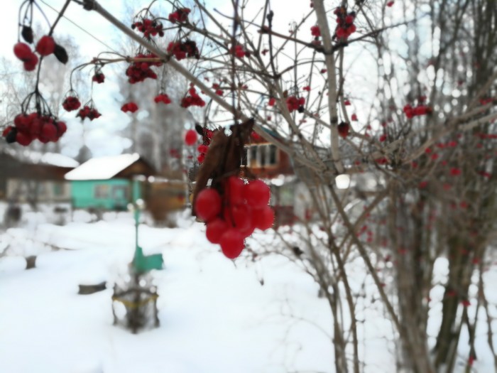 ���� �� ����