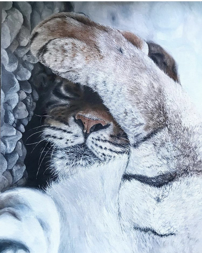 Oil. - My, Oil painting, Tiger, Animals, Art, Handmade, Creation