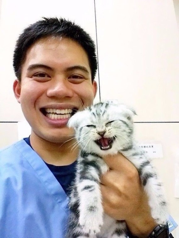 When the patient is happy - Vet, cat, The photo, Pleased