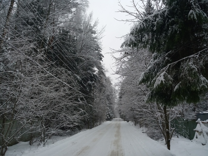 Зимнее утро