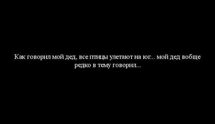 Мудрость приходит с годами - Дед, Мудрость, Птицы, Афоризм