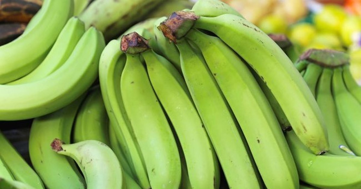 Бананы плантайн зеленые. Недоспелый банан.