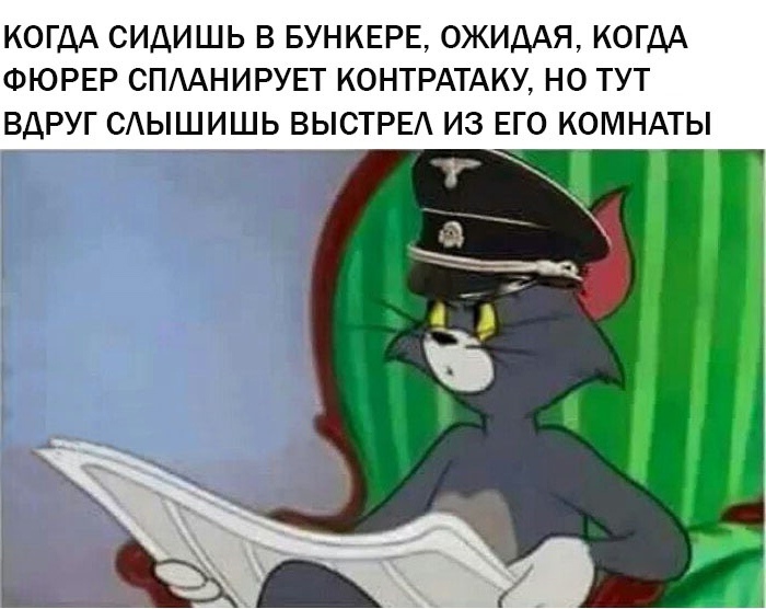 I didn't think about officers. - Adolf Gitler, Bunker, Shot, The Great Patriotic War, Memes, Tom and Jerry