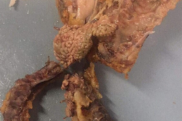 Girl claims to have found someone's brain in a KFC dish - KFC, Hen, Brain, Order, Longpost