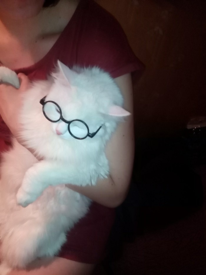 И днем и ночью.Кот ученый. Всё время на руках сидит.