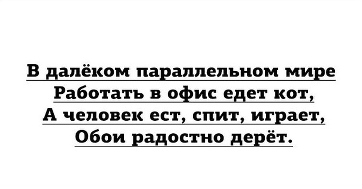 Всегда вариант. В далеком параллельном мире работать в офис едет кот. Обои радостно дерет. Картинка в далеком параллельном мире работать в офис едет кот. Из двух возможных вариантов я умудряюсь выбрать тот который третий.