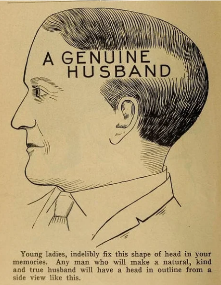 Tips for Choosing a Husband - League of Historians, Phrenology, Victorian era, Marriage, Longpost