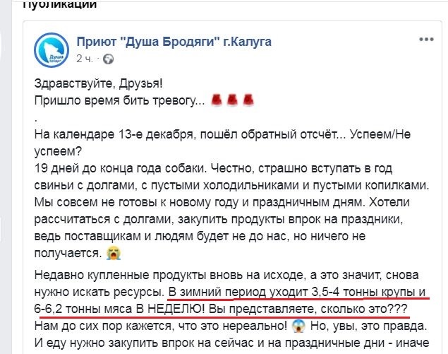 Зоозащитникам нужно 6 тонн мяса в неделю для калужских собак! - Моё, Зоозащитники, Российская зоозащита, Приют, Радикальная зоозащита, Бродячие собаки