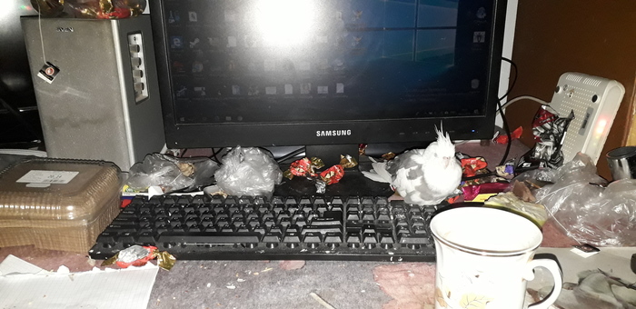 When my parents went away for a week... - My, Mess, Computer, A parrot, Garbage, Keyboard