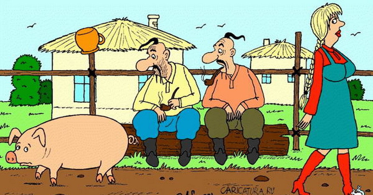 Есть у хохла бескорыстная любовь. Свинья карикатура. Деревенские карикатуры. Свиноводство карикатура. Украинская свинья карикатура.