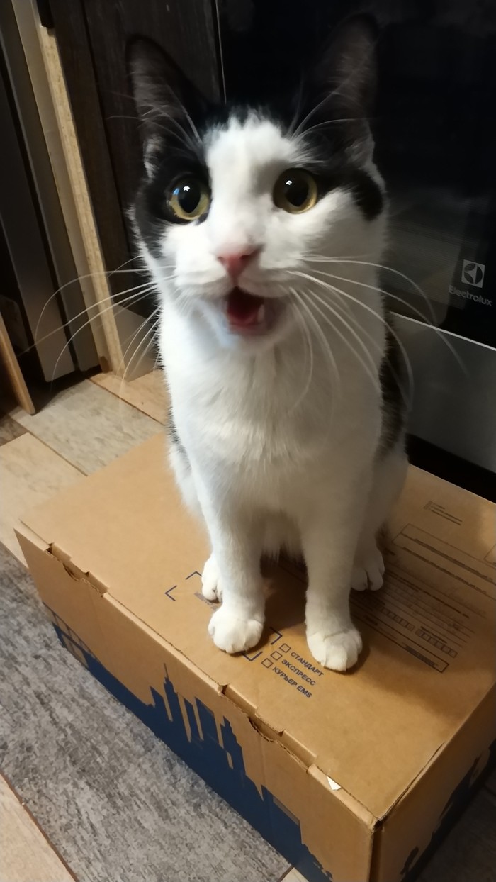 ������� ����� ���� ���? � ��� ��� ���....