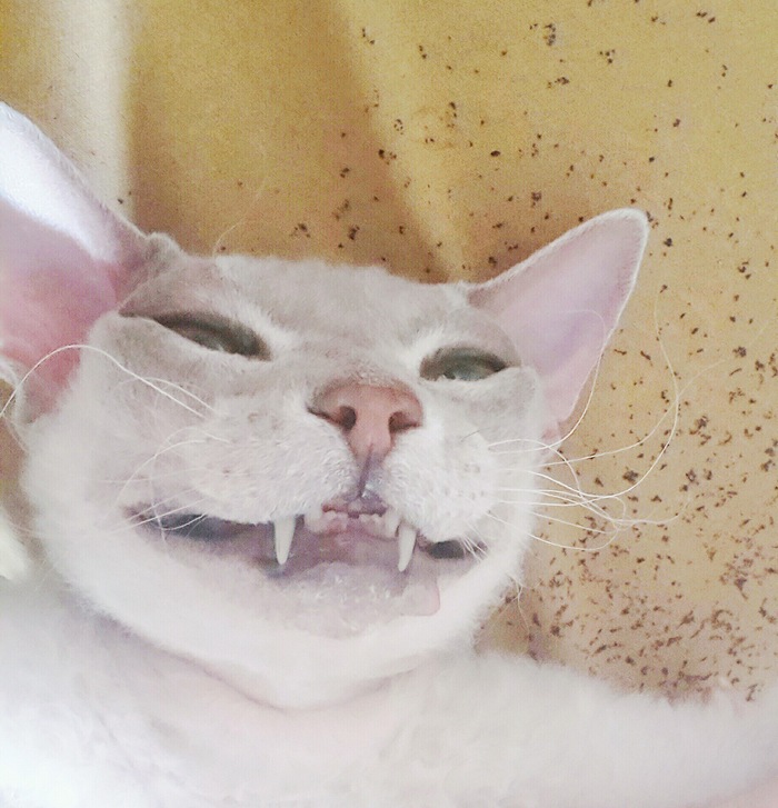 ��� ������� � ��������� ��� �����-��������� - ���� � �����