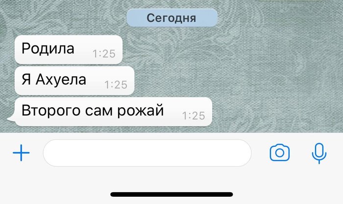 - У родного братишки доча родилась. Жена с роддома прислала - Twitter, Bam_daesh