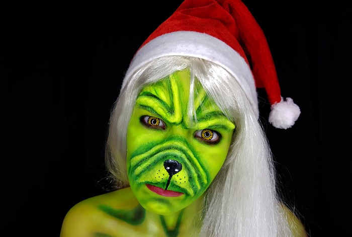 Ruin your Christmas! - My, Makeup, The Grinch Stole Christmas, Bodypainting, Special effects, Christmas, Dog, Almaty, Longpost