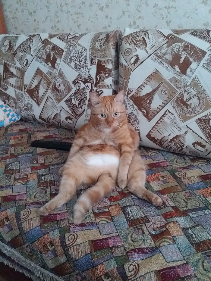  . , -, 