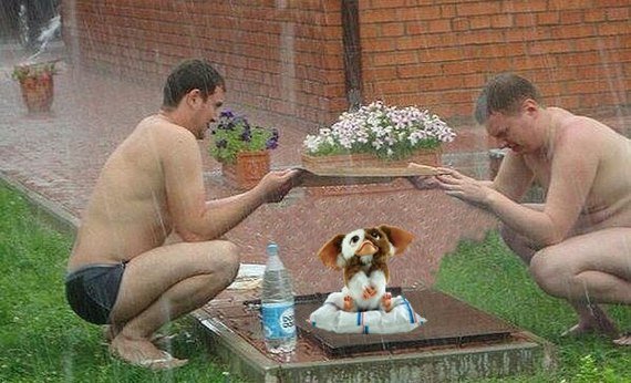 Photoshop God - My, Photoshop master, Witness, Vladimir Putin, Pigeon, Groin, Harry Potter, Oscar, Longpost, Sergey Pakhomov (Pakhom)