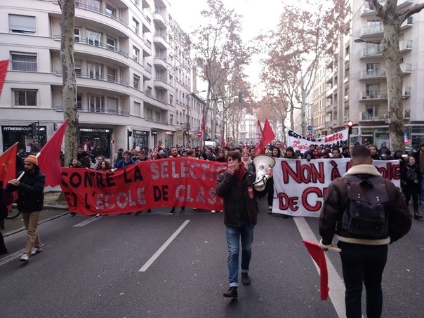 Vive la France - Demonstration, France, Socialism, the USSR, The photo, Lyon, Longpost