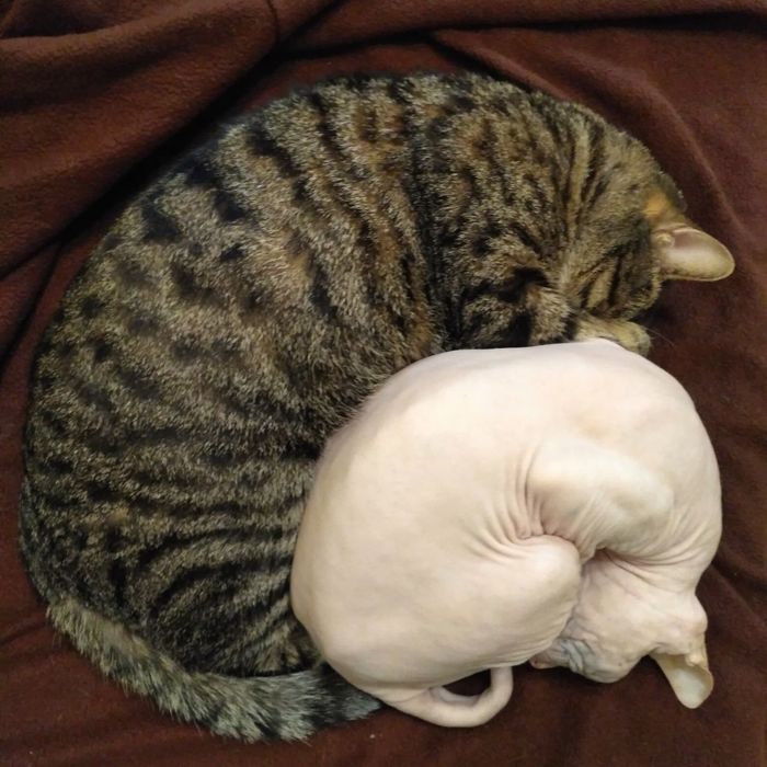 ����� ��� � ��