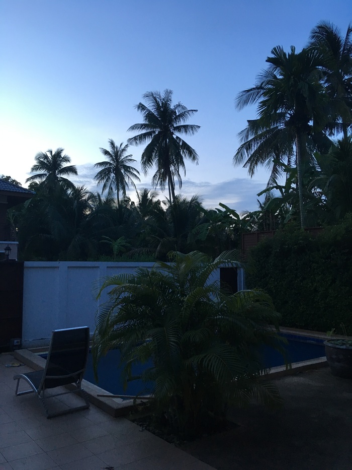 ������ ���� (����� 1.2)