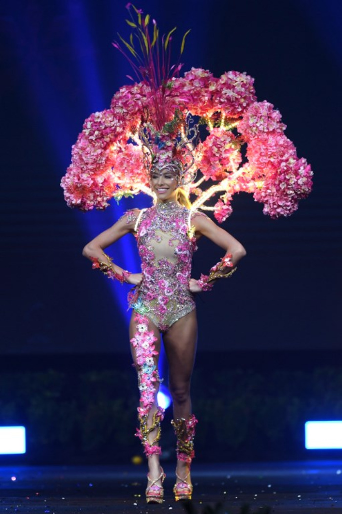 Miss Universe 2018 National Costumes 3я часть - Мисс Вселенная, Национальные костюмы, Длиннопост