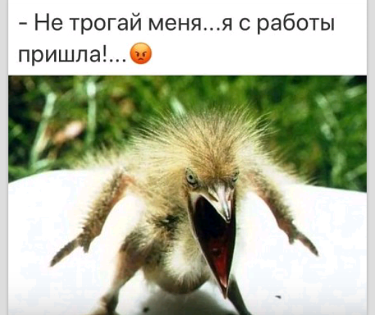 Сказки на ночь