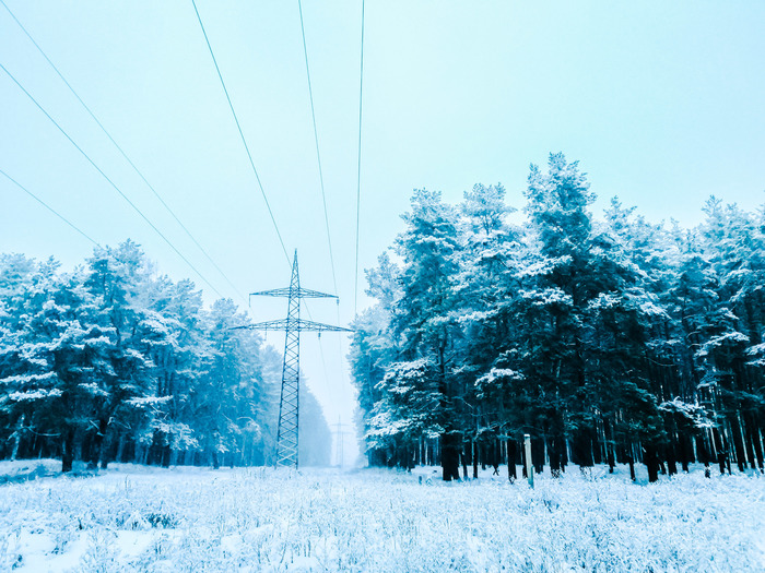 Winter landscapes - My, Landscape, Forest, Winter, , The photo