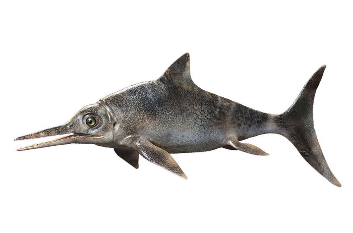 какая реальная форма земли. Смотреть фото какая реальная форма земли. Смотреть картинку какая реальная форма земли. Картинка про какая реальная форма земли. Фото какая реальная форма земли какая реальная форма земли. Смотреть фото какая реальная форма земли. Смотреть картинку какая реальная форма земли. Картинка про какая реальная форма земли. Фото какая реальная форма земли