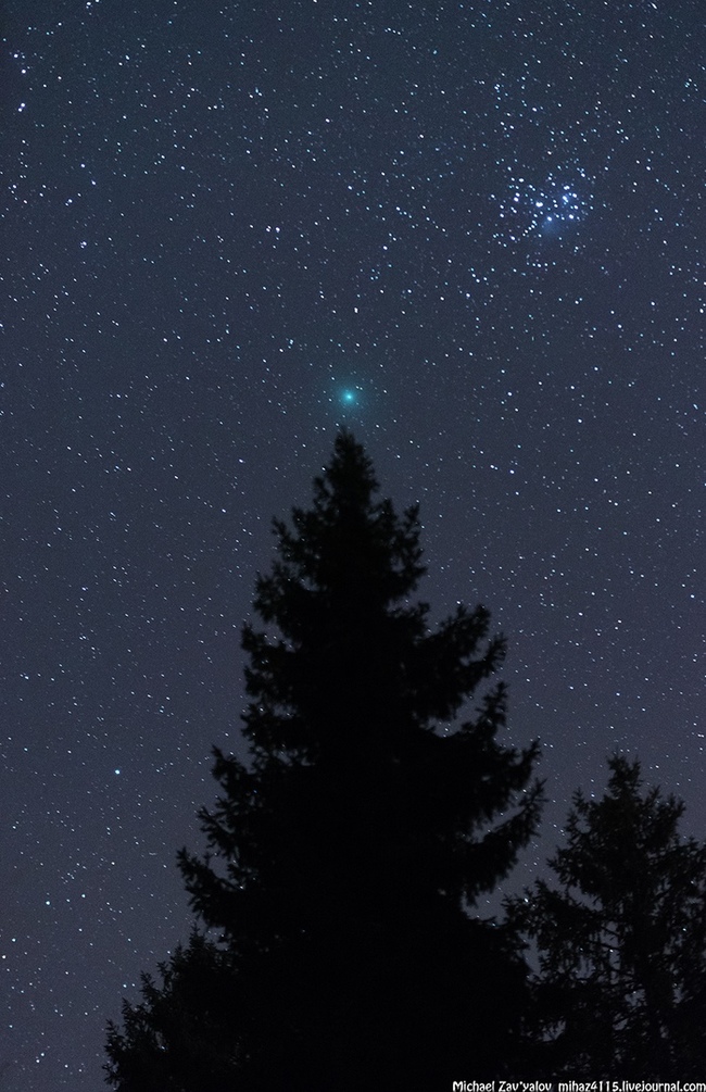 New Year's Eve Comet 46P/Wirtanen - Space, The photo, Sky, From the network