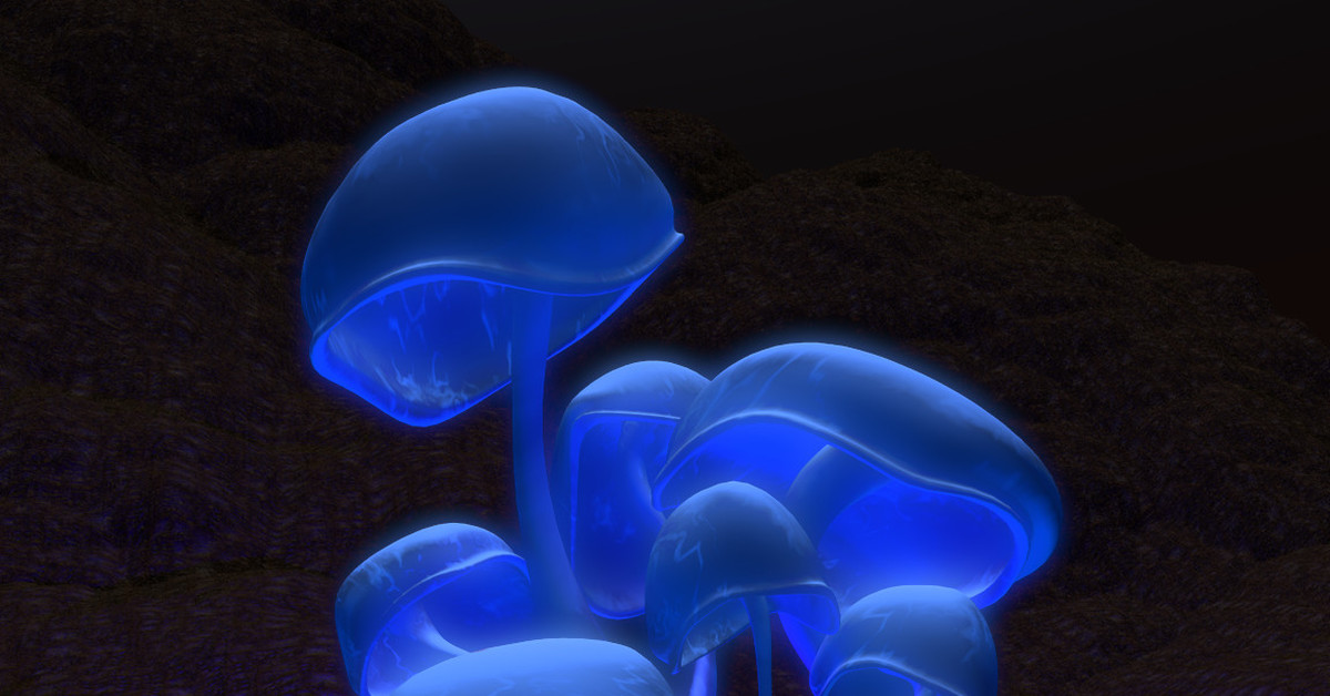 Glowing mushroom. Флюоресценция грибы. Мицена хлорофос гриб. Биолюминесценция грибы. Гриб голубая Мицена.