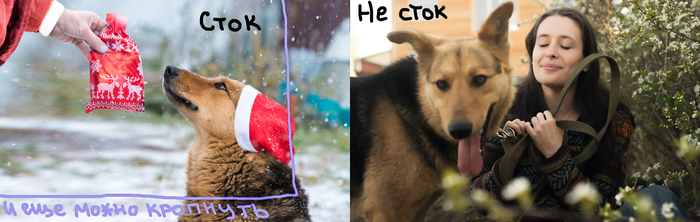 Shutterstock что это такое. 154516324112228239. Shutterstock что это такое фото. Shutterstock что это такое-154516324112228239. картинка Shutterstock что это такое. картинка 154516324112228239