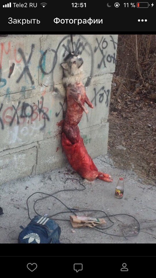 Kostenko - Shawarma, Murder, Longpost