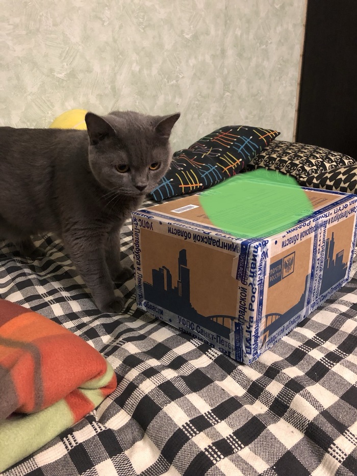 My first gift from Secret Santa. From St. Petersburg to Moscow. - My, Gift exchange report, Gift exchange, Secret Santa, Longpost