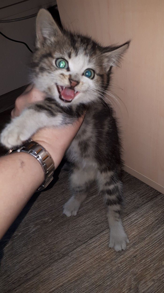  !  , , ,   , , 