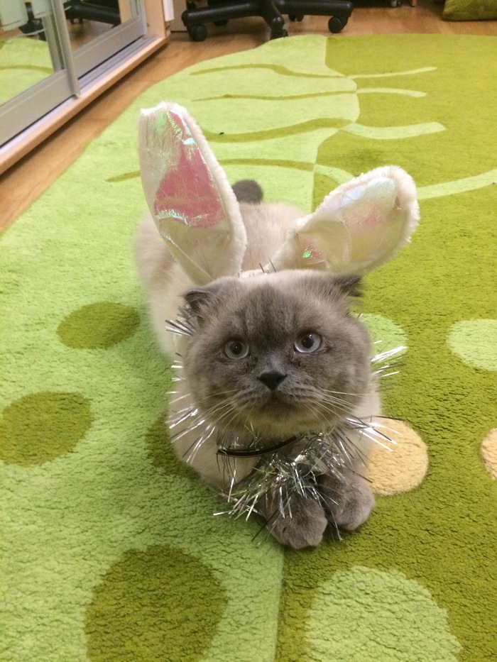 ���������� �����