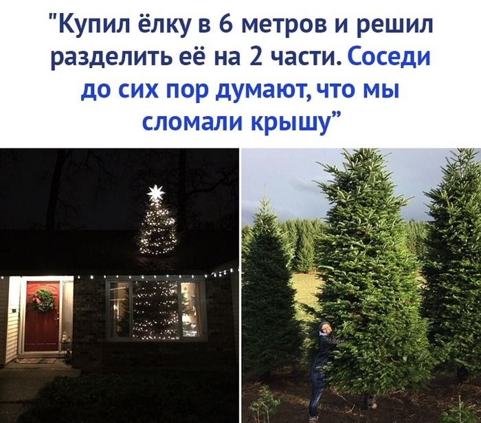 Позли соседей)