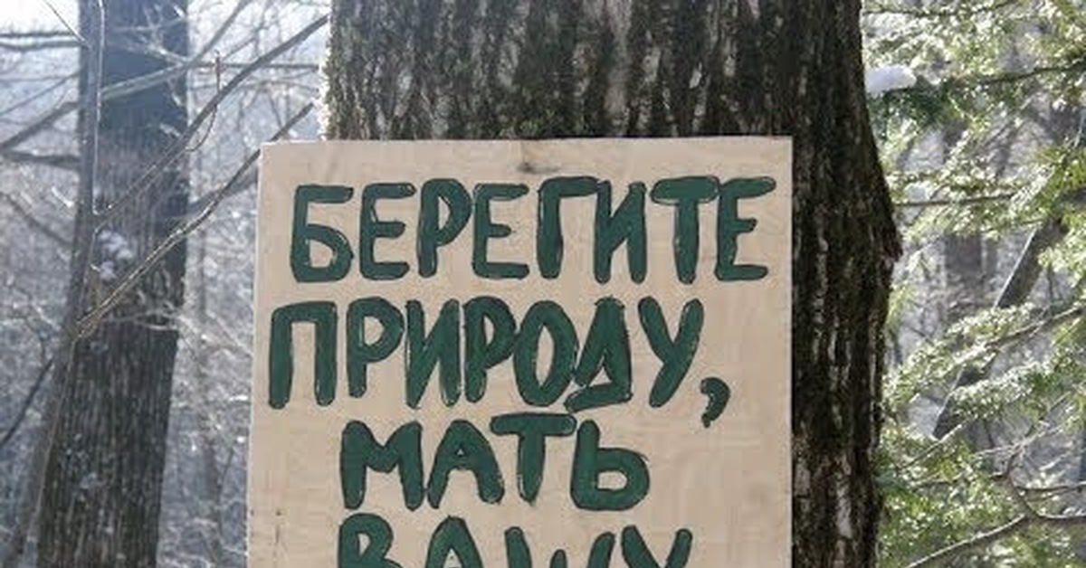 Берегите природу мать вашу картинки