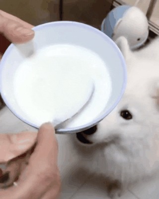 Воспитанность