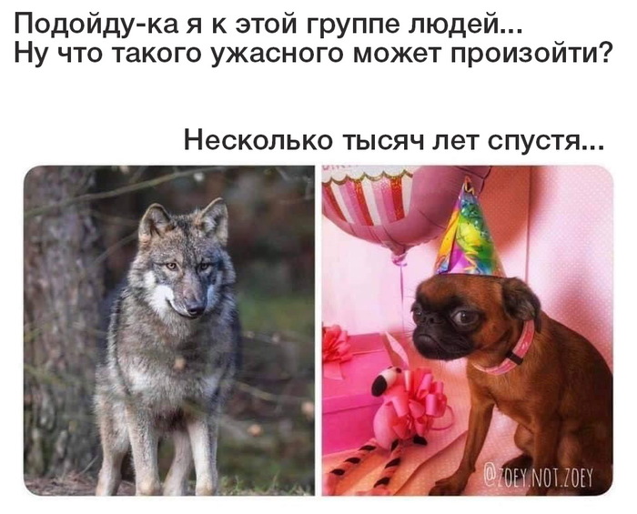 1545427378193532011.jpg