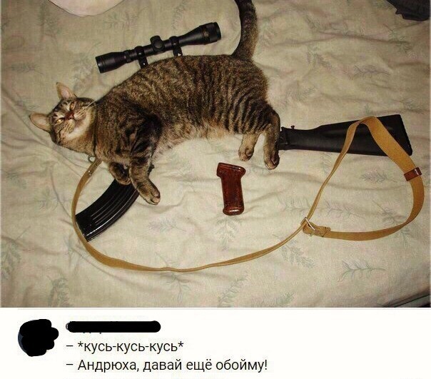 Андрюха , тащи патроны