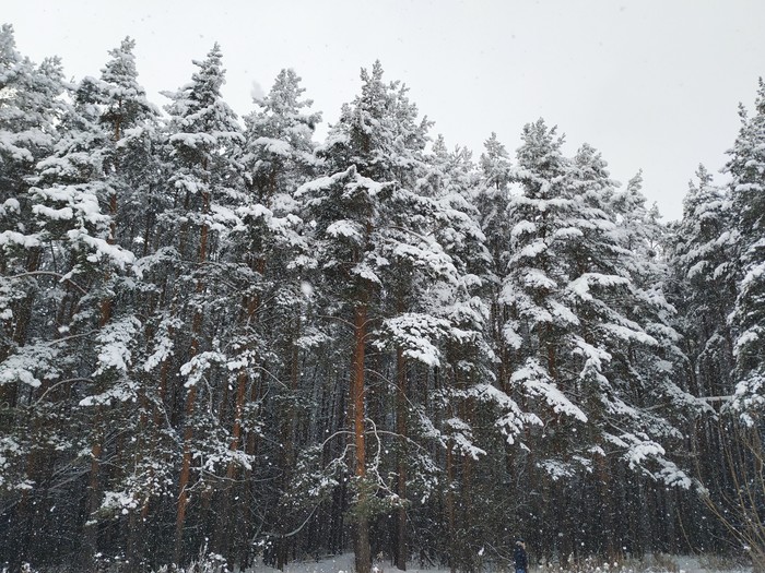 ������ ��� �����������.