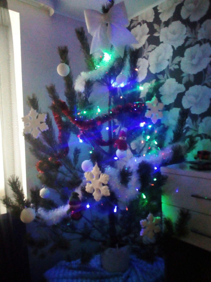Pine - My, Pine, Christmas trees, New Year, The photo, Longpost