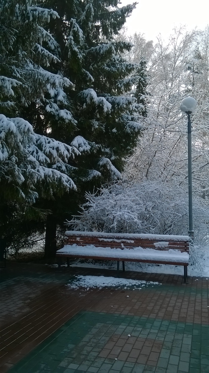 Winter in Akademgorodok - My, Akademgorodok, Nso, Snow, Christmas trees, NSU