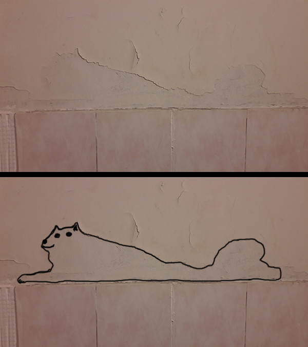 I see this every day in the bathroom.. - My, The photo, Stubbornness, Dog